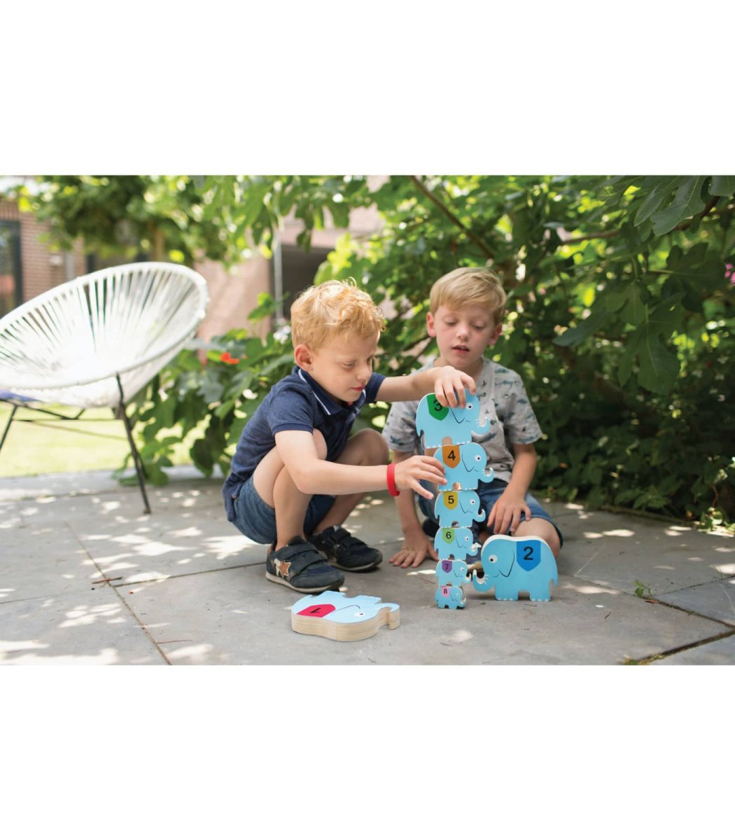 Elefanti del circo - immagine 5