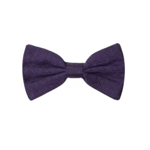 Papillon Viola in seta Dolce & Gabbana