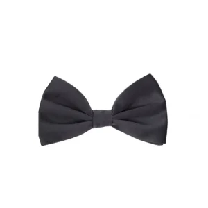 Papillon in Seta Grigio Dolce & Gabbana