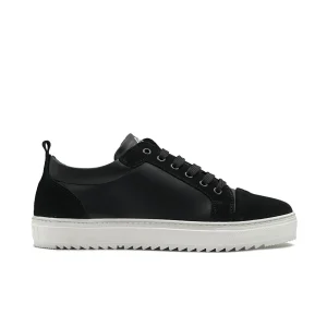 Star Sneakers basse Uomo in Vera Pelle