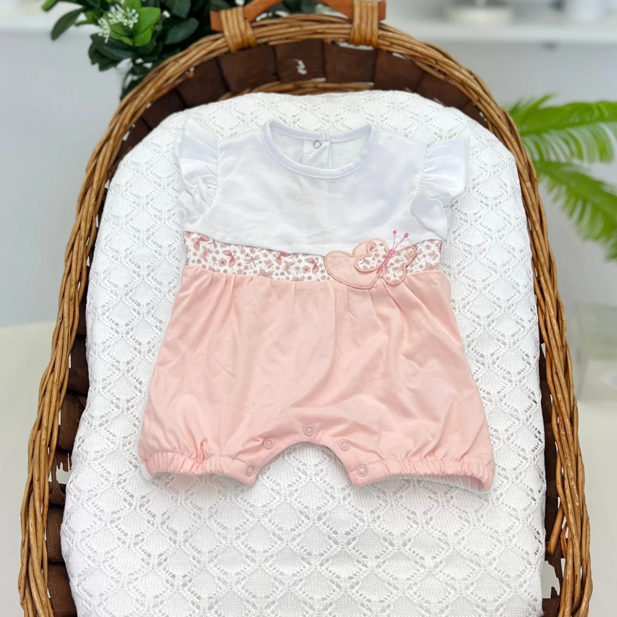 Pagliaccetto farfallina - immagine 2