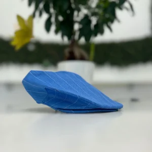 Luxury Cloth Cap 354